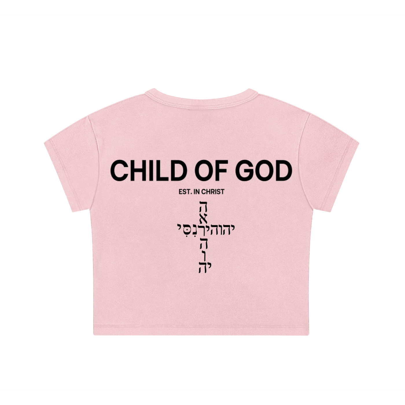 Snow Washed "Rose Pink" Crop Top