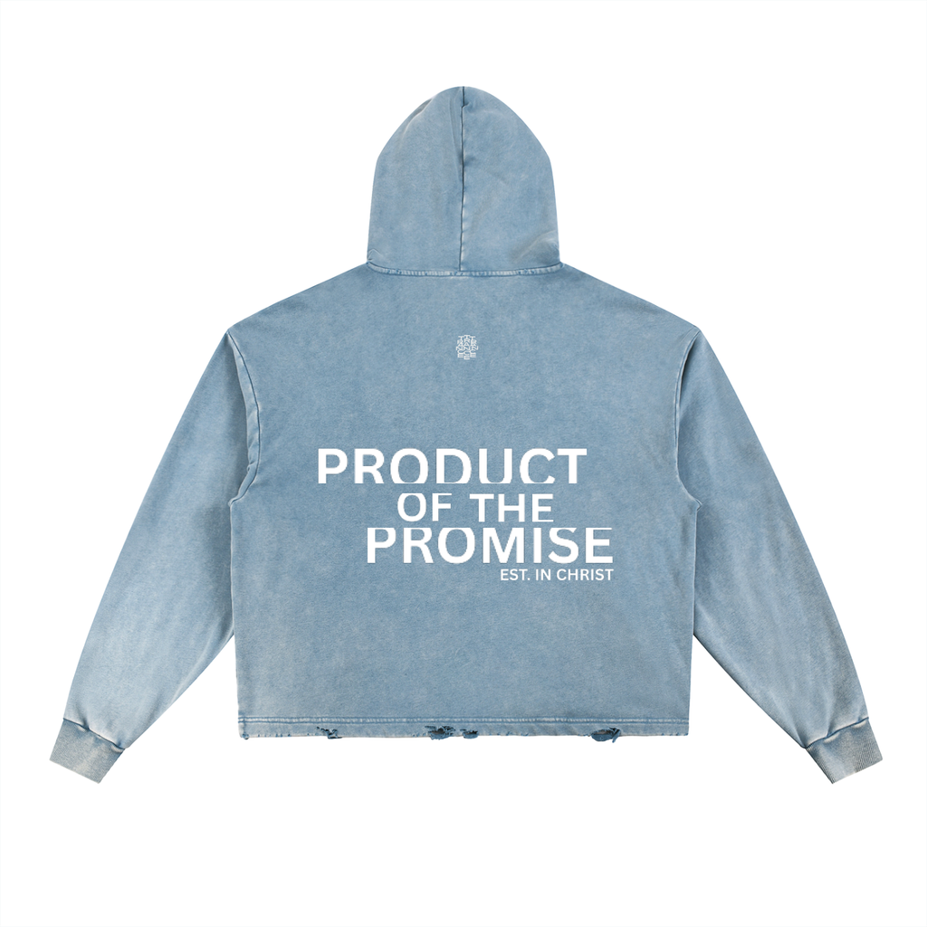 Vintage Washed Frayed-Hem Hoodie